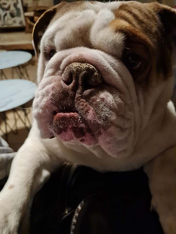Stanley